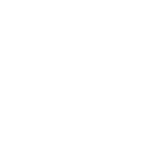 Primary Raster logo